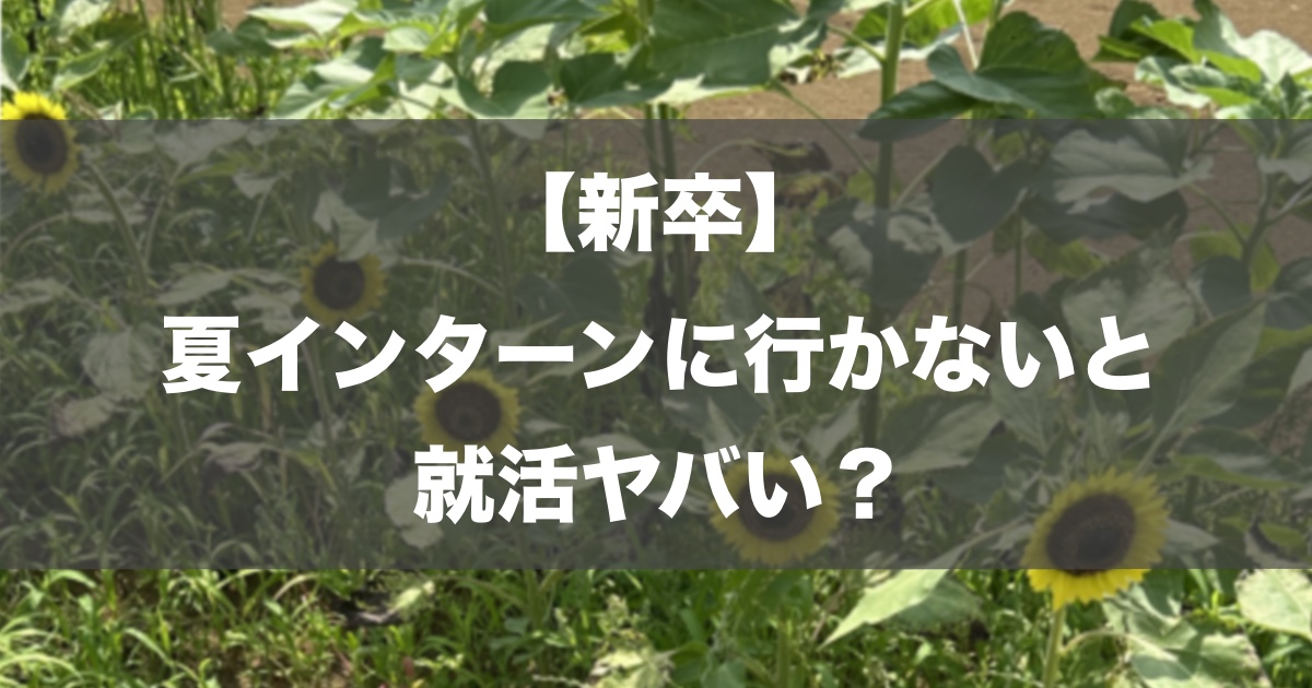 【新卒】夏インターンに行かないと就活ヤバい？